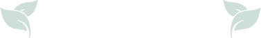 Group 81